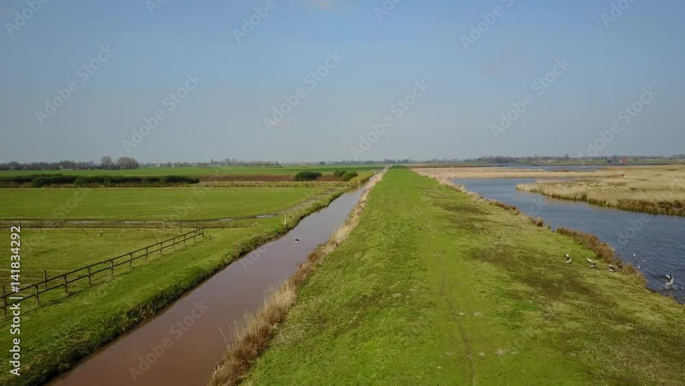 Natural water and swampy fields with flying birds in the Netherlands - Aerial Natural water and swampy fields with flying birds in the Netherlands - Aerial