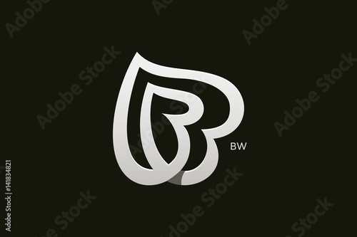 Photography Letter B and W Monogram Logo Design Vector