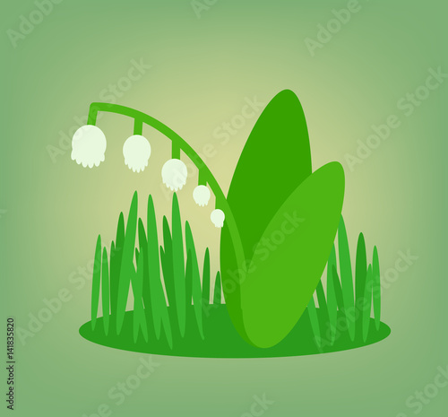 Flat lily of the valley