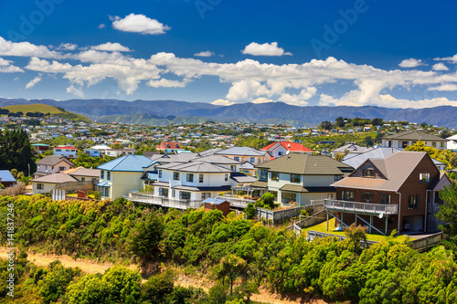beautiful neigborhood with houses. Location: New Zealand, capital city Wellington