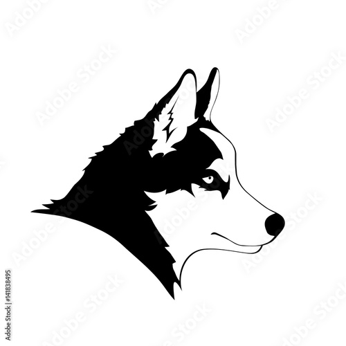 Sketch of Siberian husky. Black and white portrait of dog. Vector illustration