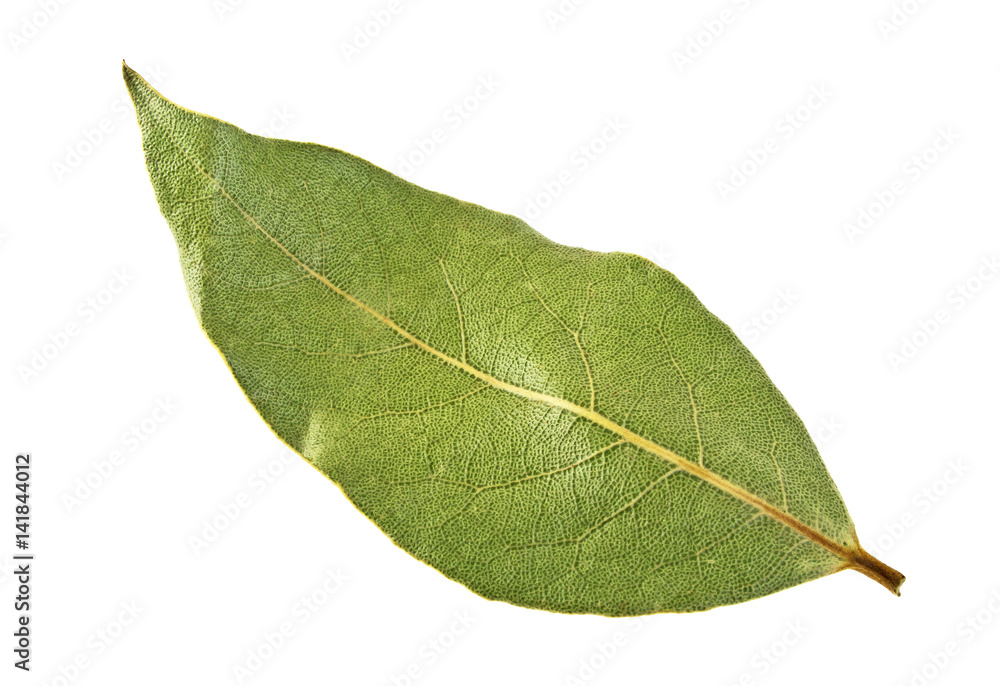 Dried bay laurel leaf isolated on white background, close up Dried bay laurel leaf isolated on white background, close up