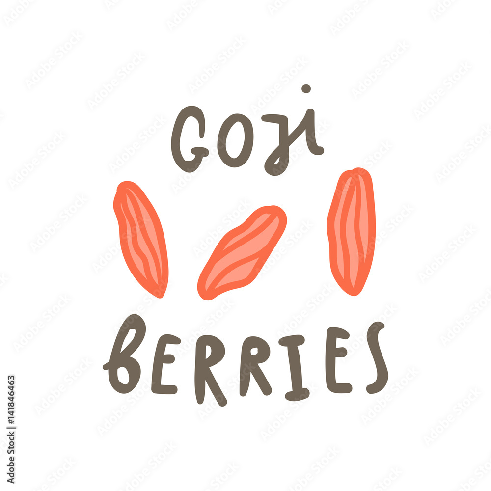 Obraz premium Goji berries superfood. Vector hand drawn illustration