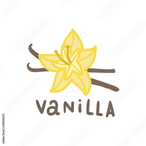 Vanilla superfood isolated on white. Vector hand drawn illustration