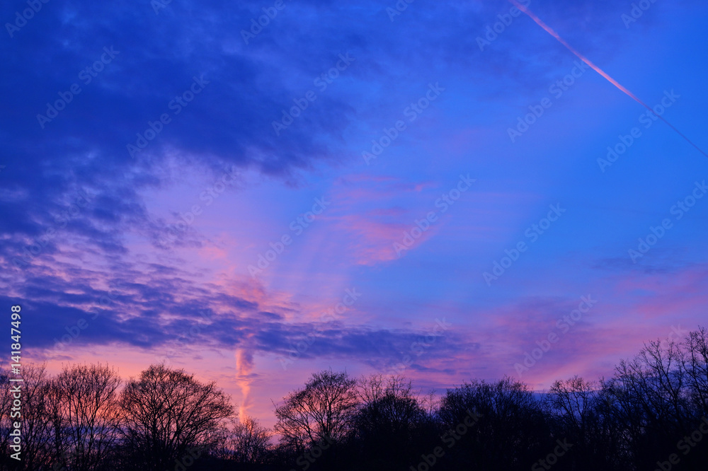 Cielo al tramonto con nuvole rosa sopra gli alberi della foresta Cielo al tramonto con nuvole rosa sopra gli alberi della foresta