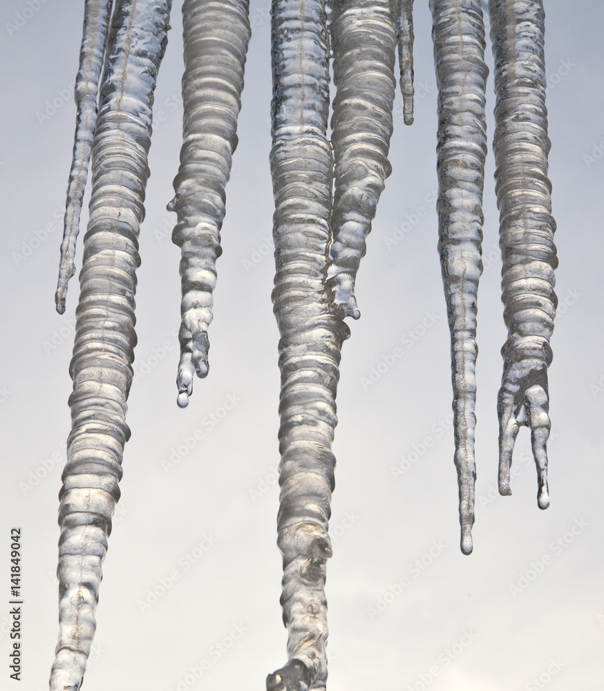 Fototapeta premium ice icicles