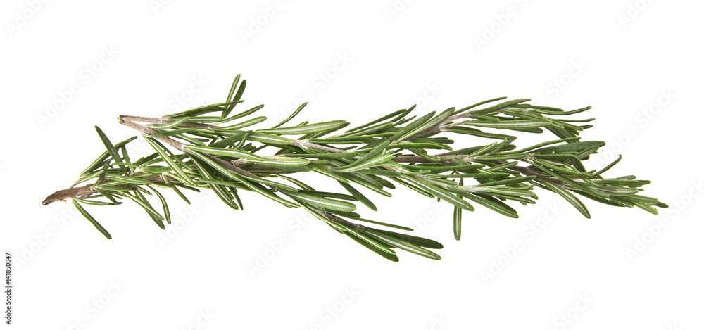 rosemary rosemary