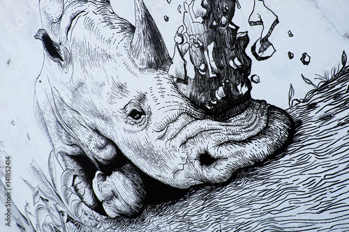 Nosorożec przez graffiti, malarstwo nosorożca