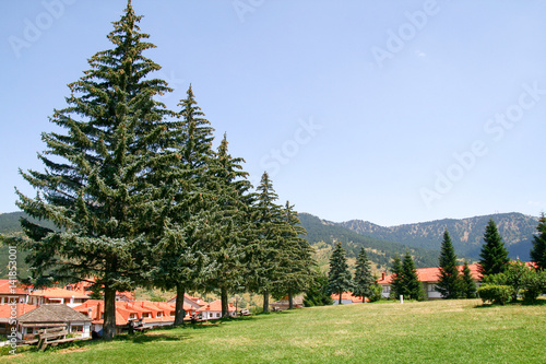 part view of the beautiful mountainous touristic greek village named Metsovo in Greece photo