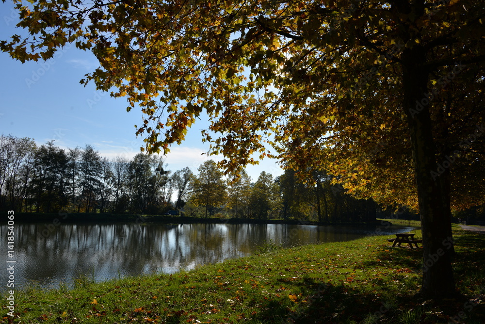 Fototapeta premium au bord de l'eau