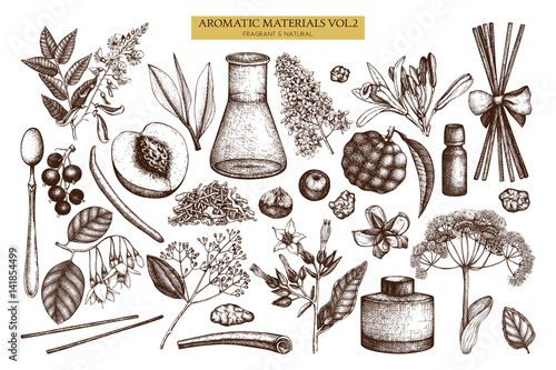 Vector floral collection. Vintage Hand drawn Perfumery and cosmetics ingredients set. Aromatic and medicinal plant.