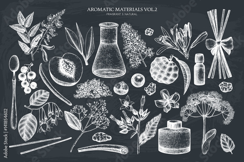 Vector floral collection. Vintage Hand drawn Perfumery and cosmetics ingredients set. Aromatic and medicinal plant. photo