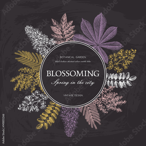 Vector card design with hand drawn blossoming trees. Floral wedding invitation template. Vintage flower illustration