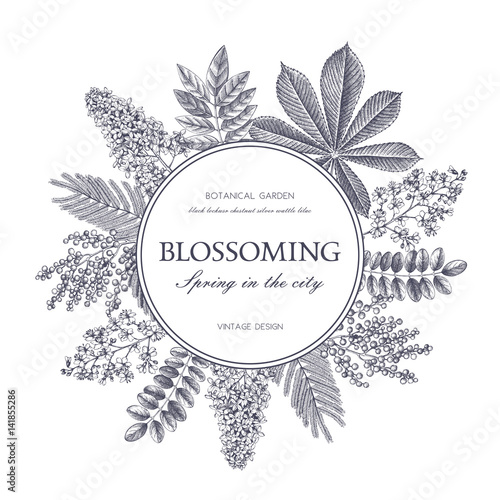 Vector card design with hand drawn blossoming trees. Floral wedding invitation template. Vintage flower illustration