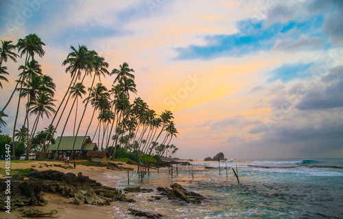 Perfect tropical beach with palm trees  