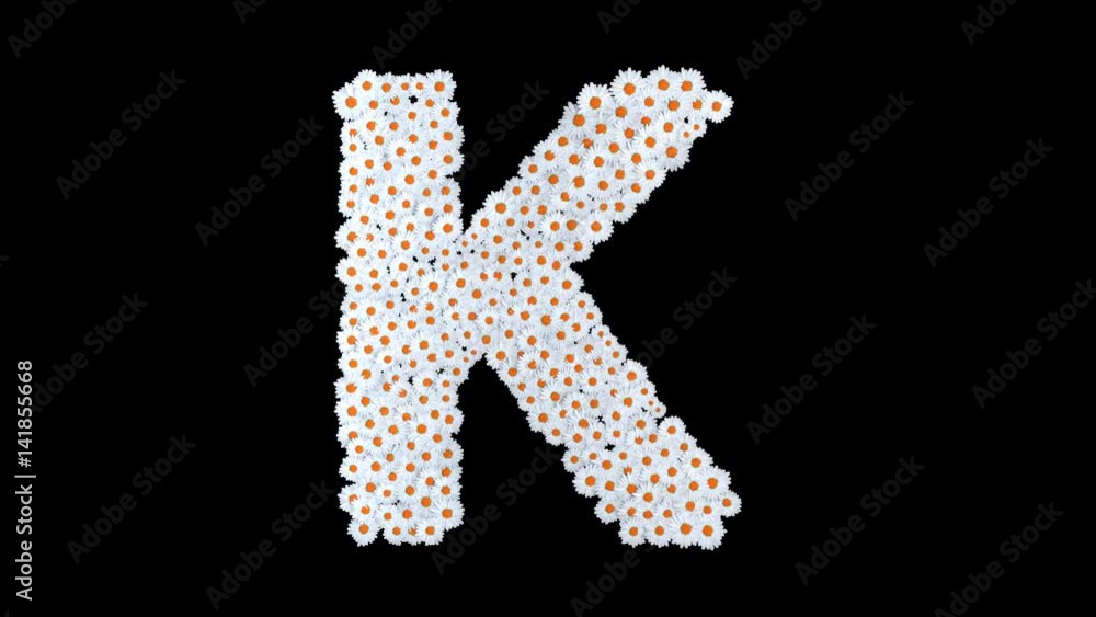Letter K from white daisy flowers with alpha channel Letter K from white daisy flowers with alpha channel