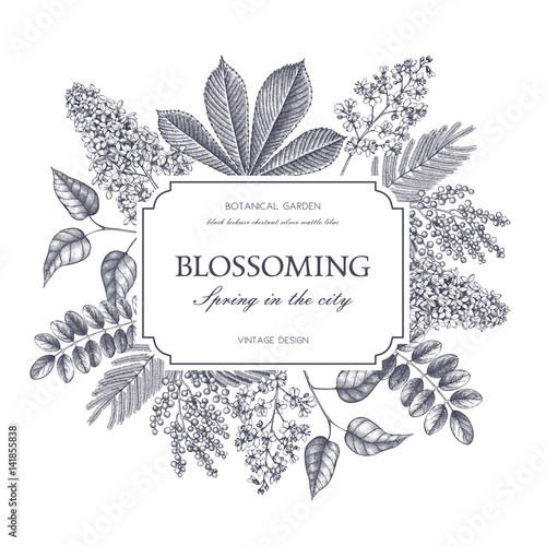 Vector card design with hand drawn blossoming trees. Floral wedding invitation template. Vintage flower illustration