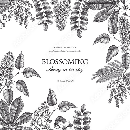 Vector card design with hand drawn blossoming trees. Floral wedding invitation template. Vintage flower illustration