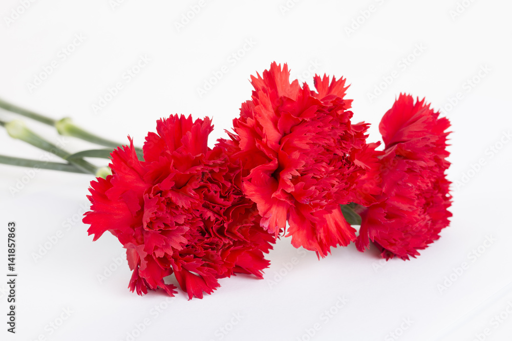 Red carnation flower bouquet isolated on white background. Red carnation flower bouquet isolated on white background.