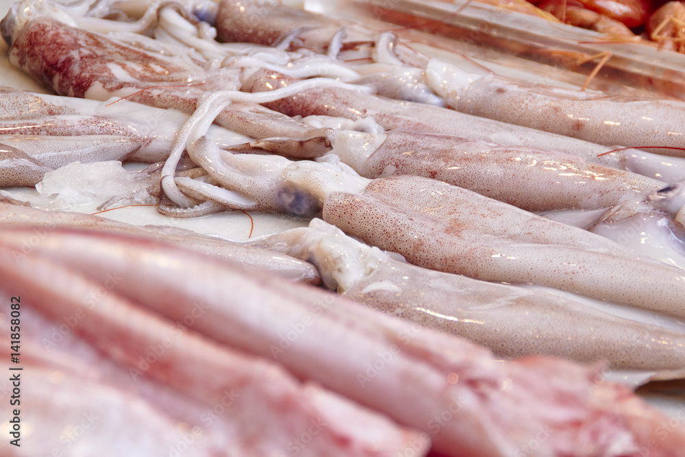 Squid fish at Atarazanas market in Malaga Squid fish at Atarazanas market in Malaga