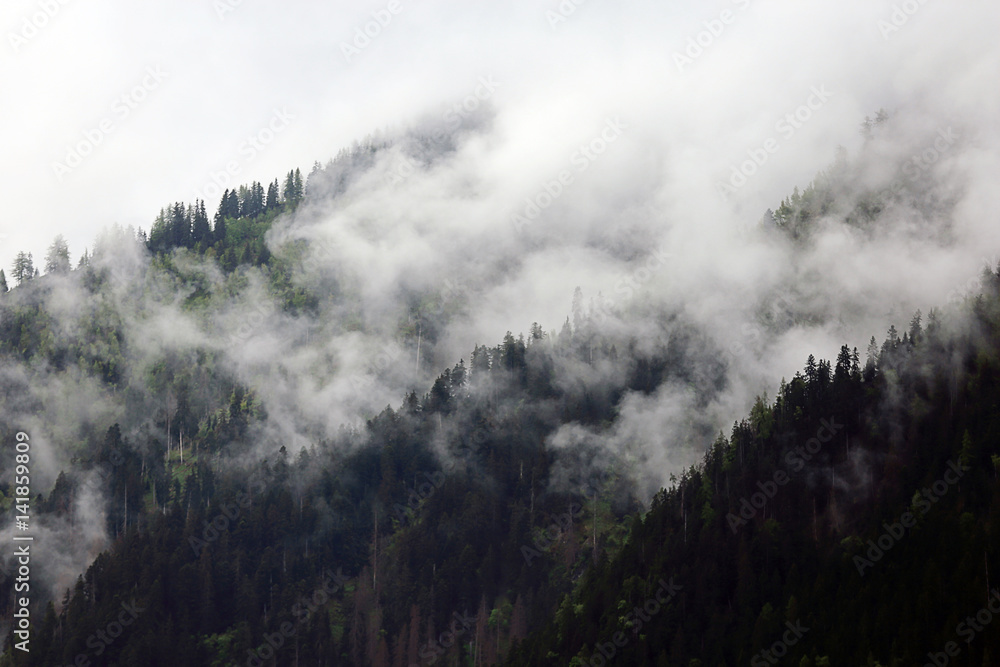 foggy clouds rising from dark alpine mountain forest