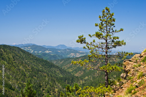 Landscape of Divcibare mountain at sunny summer morning, west Serbia © banepetkovic