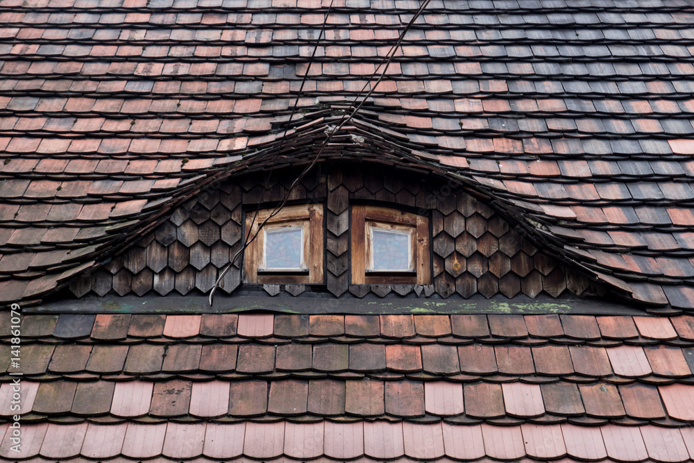 Tiled roof with two Windows