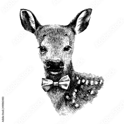 Baby deer hipster