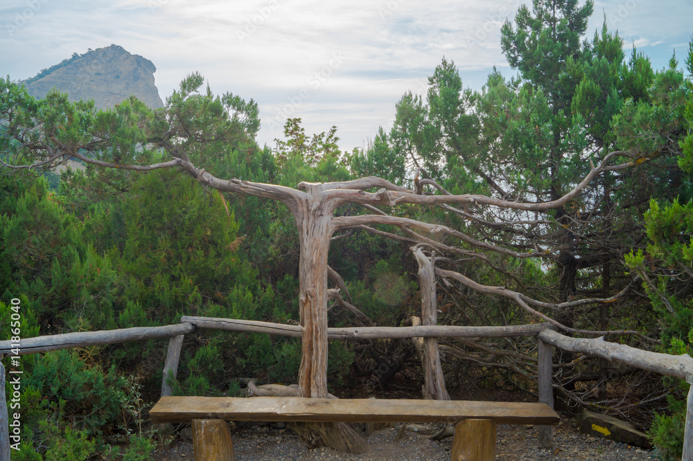 Wish Tree in the juniper grove