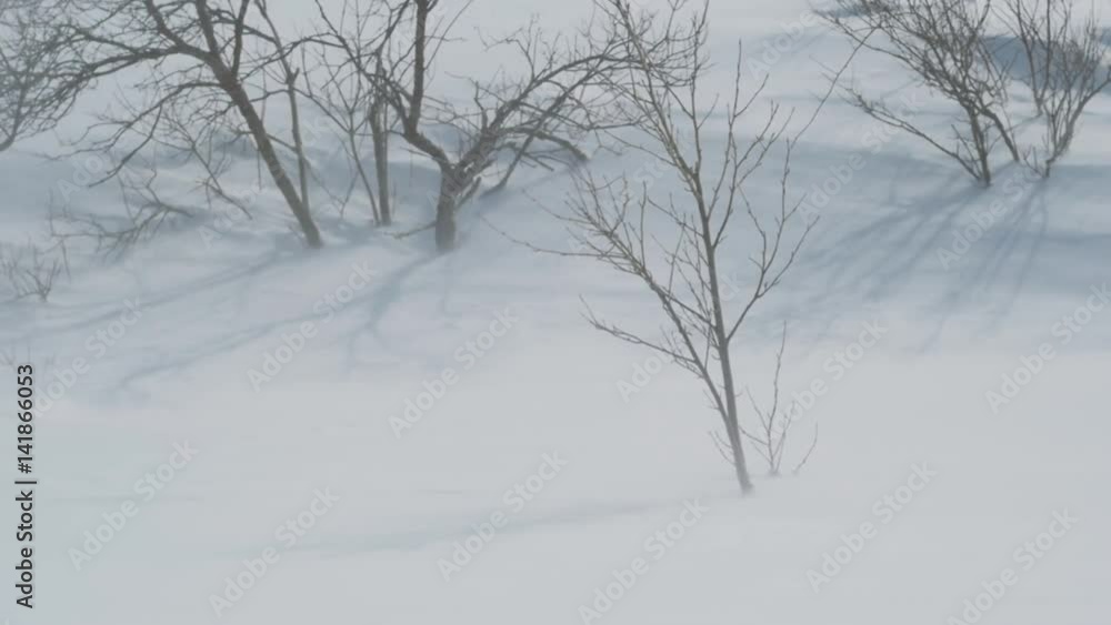 Snow dances slow motion 26% 021 Snow dances slow motion 26% 021