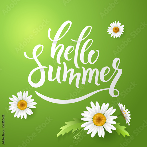 Hello Summer handmade lettering and realistic daisy, camomile flowers on green background. Vector illustration card