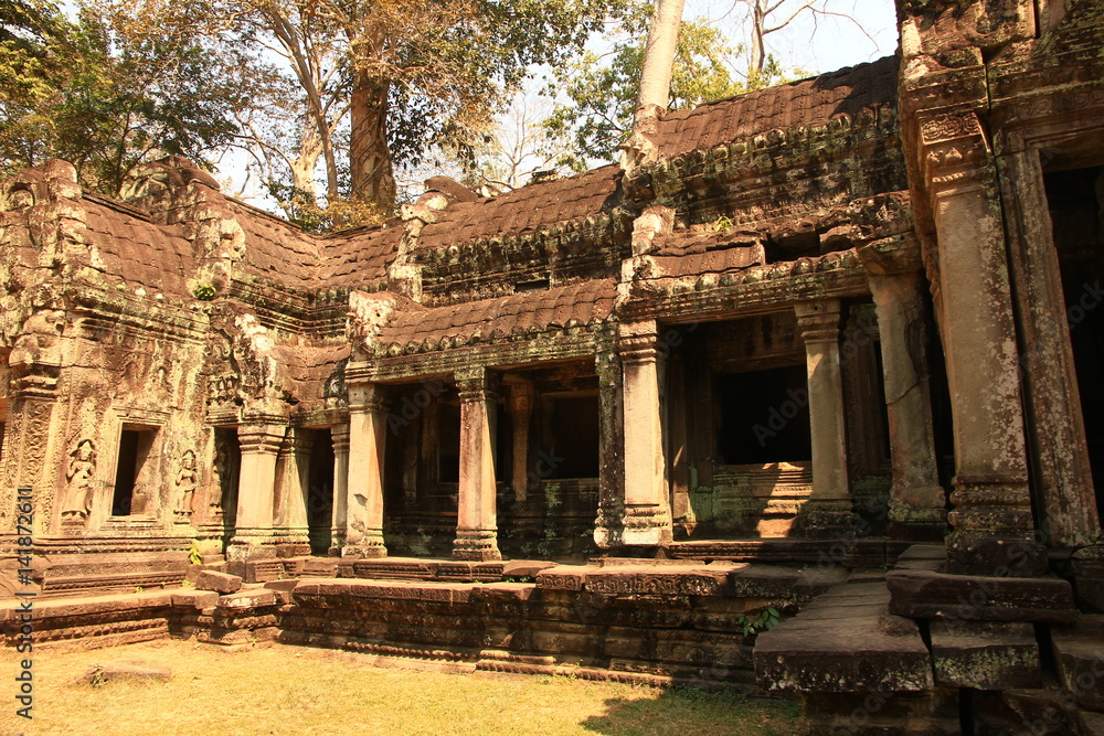 Ta Prohm Temple, Cambodia