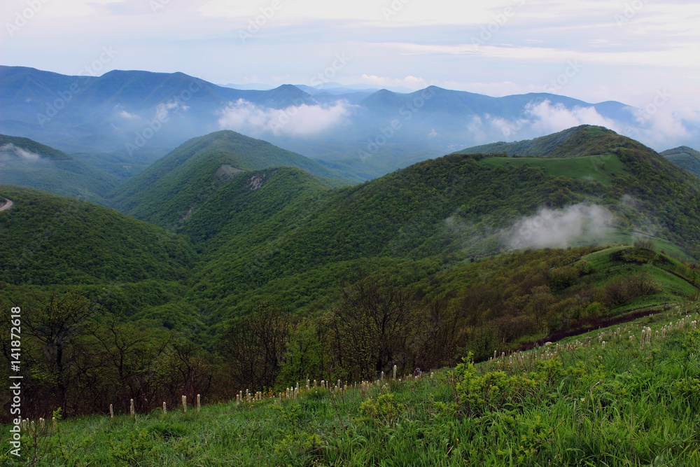 Fototapeta premium Mountain's top in clouds near Gelendzhik, Russia