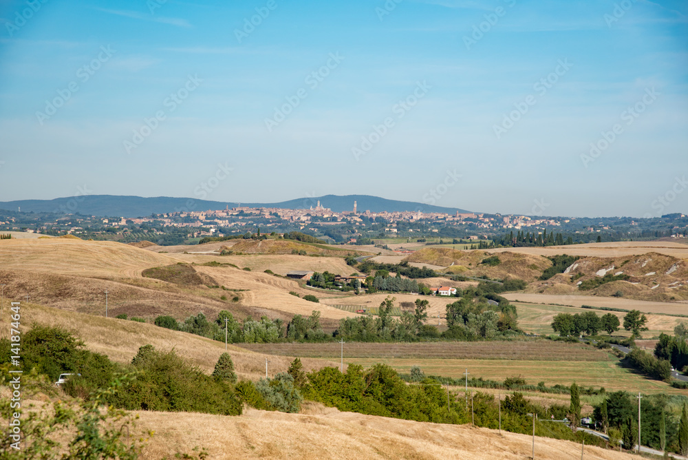 Obraz premium panorama of the Chianti hills in the summer in the province of siena