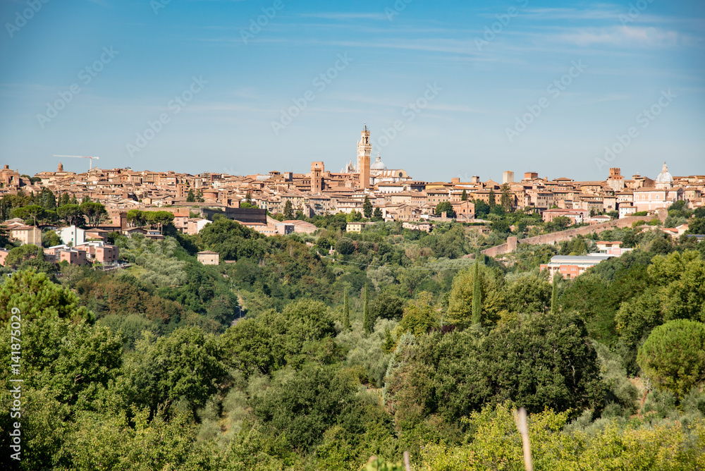 panorama of the Chianti hills in the summer in the province of siena