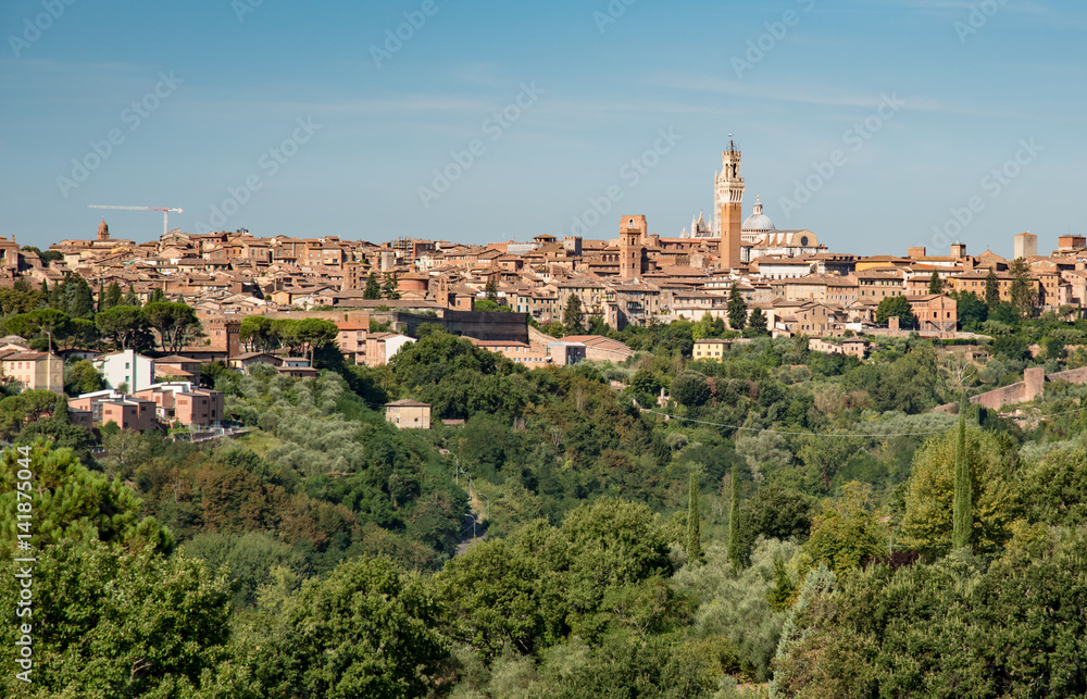 panorama of the Chianti hills in the summer in the province of siena