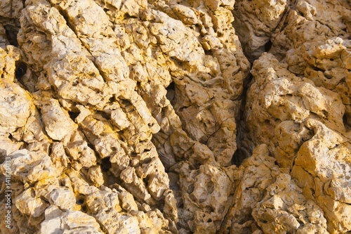 colorful texture of sea stone