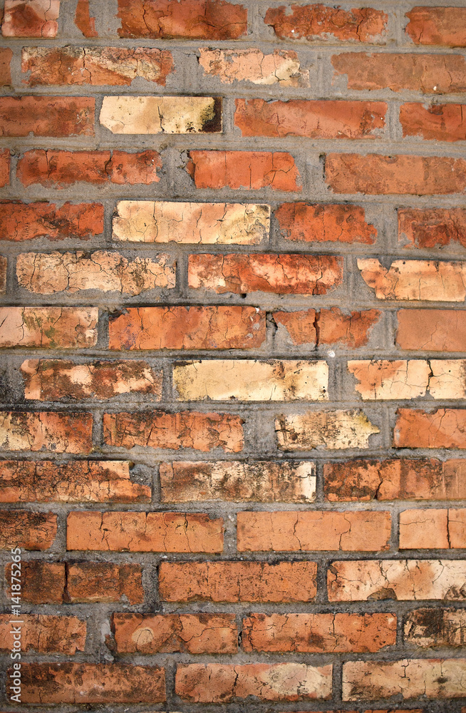 Naklejka premium Old brick, red brick, red brick, brick, old brick wall