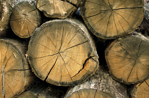Wood, firewood, timber, firewood