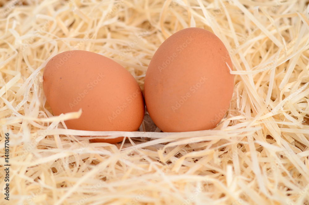 Two brown eggs lying in the nest Two brown eggs lying in the nest