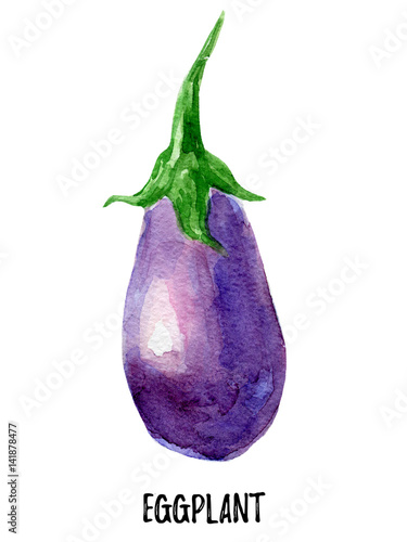 eggplant illustration. Hand drawn watercolor on white background.