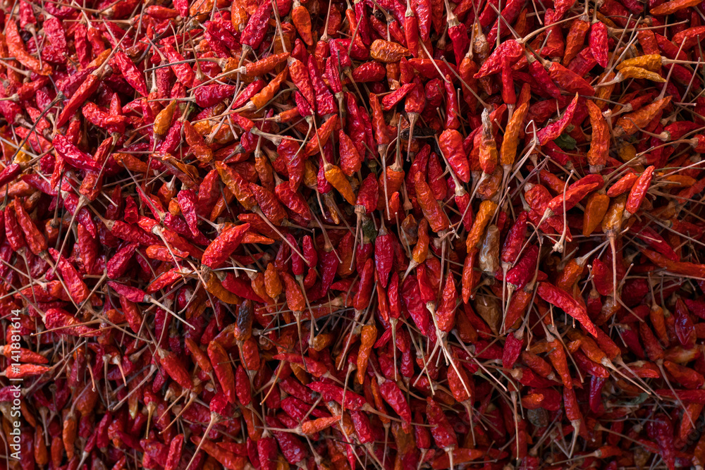 Fototapeta premium red dry chilli