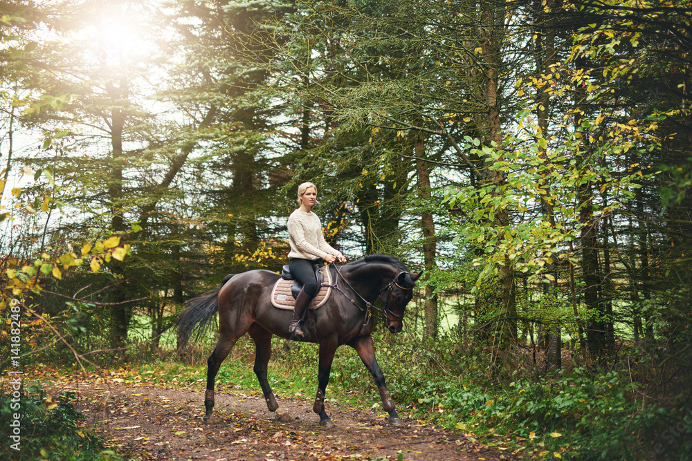 Woman training on a horse in the park Woman training on a horse in the park