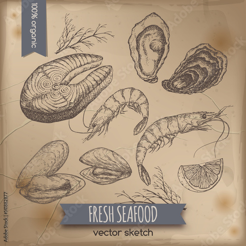 Vintage fish steak, shrimp, oyster and mytilus template