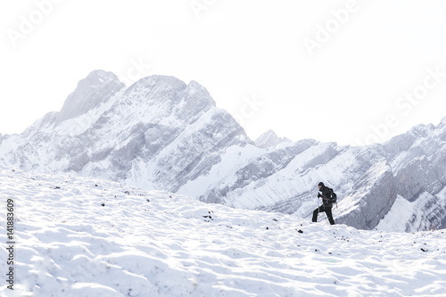 Stroller in the wild II