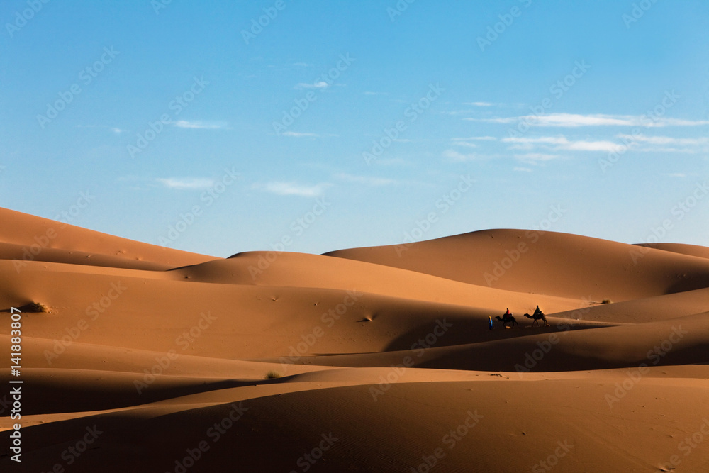 désert de sable et dunes