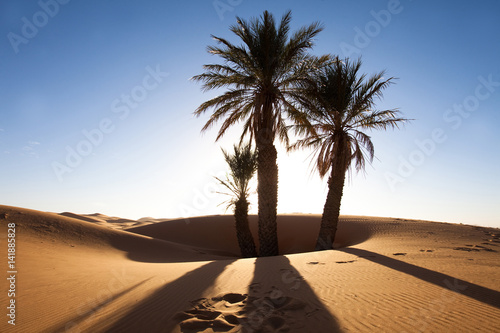 Tableau sur toile palmiers dans le désert et dunes de sable