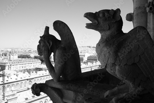 Gargouille    Notre Dame  Paris