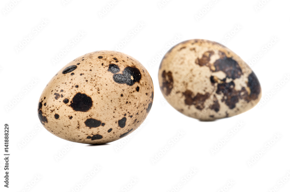Two raw spotted quail eggs isolated on white background Two raw spotted quail eggs isolated on white background