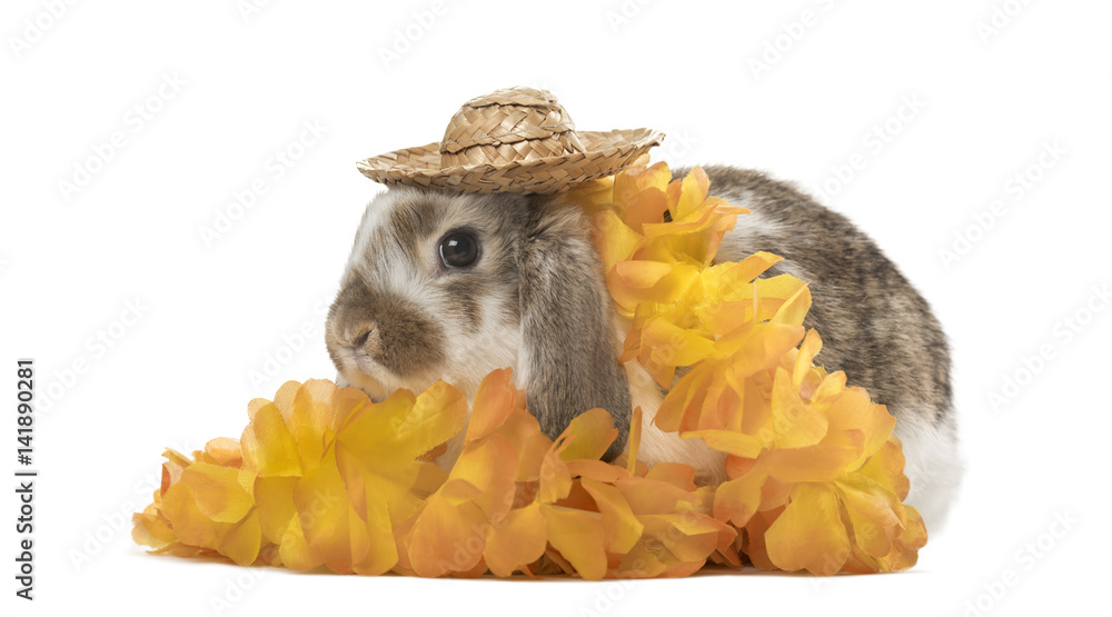 Obraz premium Festive rabbit with hat and flowers, isolated on white